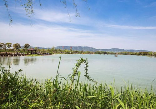 清明出游好去處 全國(guó)多景區(qū)免費(fèi)開(kāi)放，沙家浜成無(wú)錫游客優(yōu)選