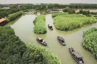 烽火蘆蕩，青春定向 2019首屆華僑城杯沙家浜紅色定向賽邀您啟程
